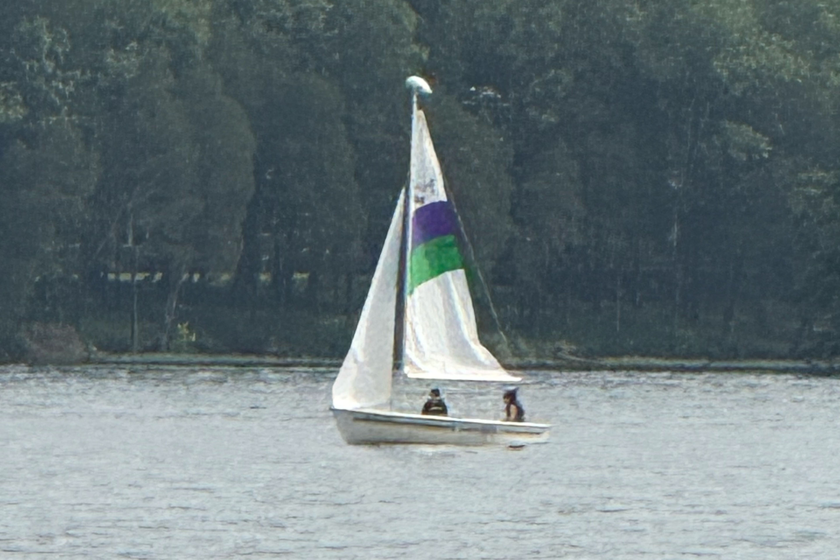 Troop 1122 gallery photo 11